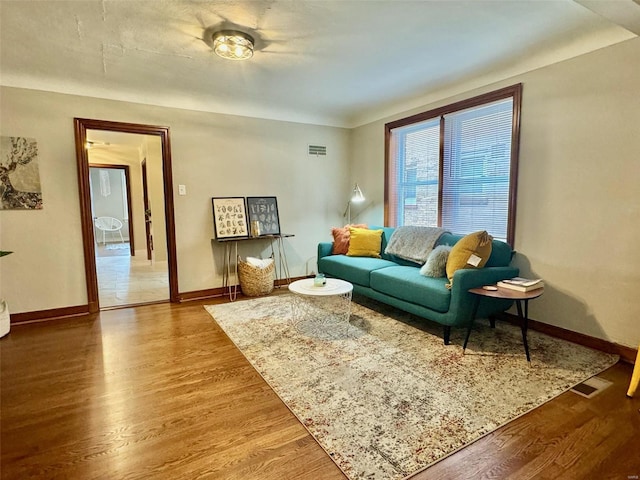 living room featuring wood-type flooring