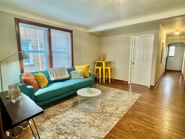 living room featuring dark hardwood / wood-style flooring