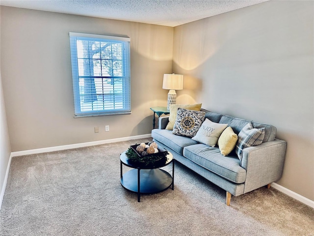 living room featuring a textured ceiling and carpet floors