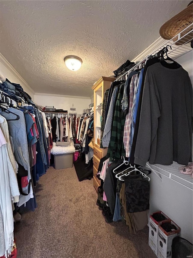 spacious closet featuring carpet