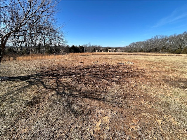 view of yard with a rural view