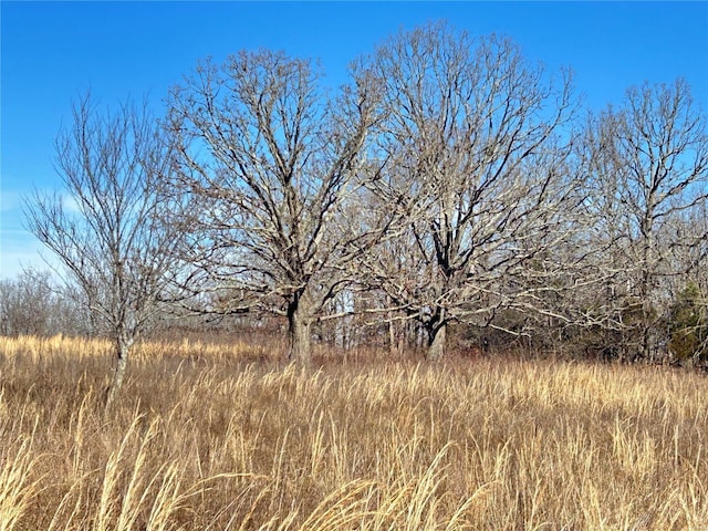 view of nature