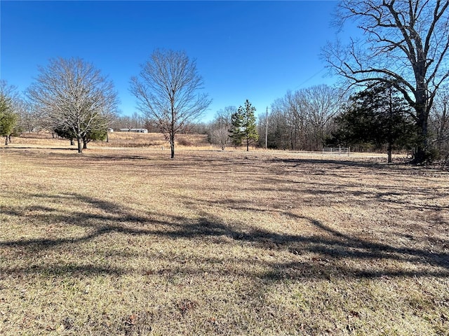 view of yard featuring a rural view