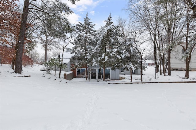 view of snowy yard