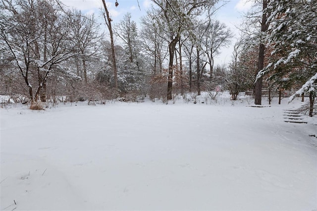 view of yard layered in snow