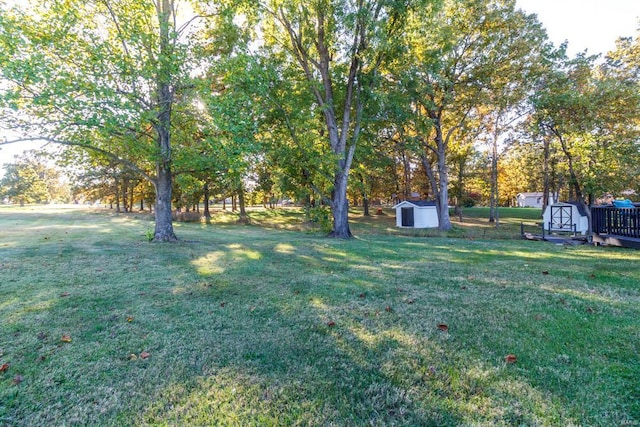 view of yard with a shed