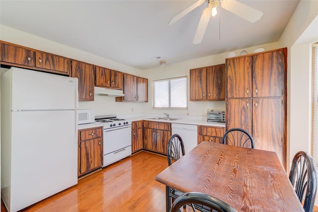 kitchen featuring ceiling fan, sink, light hardwood / wood-style floors, and white appliances