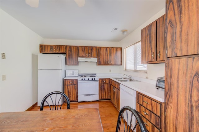 kitchen featuring sink, white appliances, and light hardwood / wood-style flooring