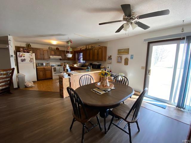 dining area featuring ceiling fan and dark hardwood / wood-style floors