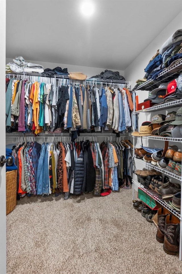 spacious closet featuring carpet floors