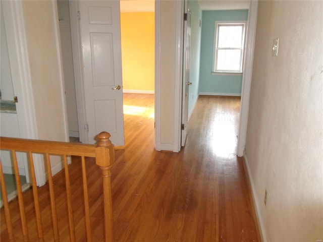 hall with hardwood / wood-style flooring