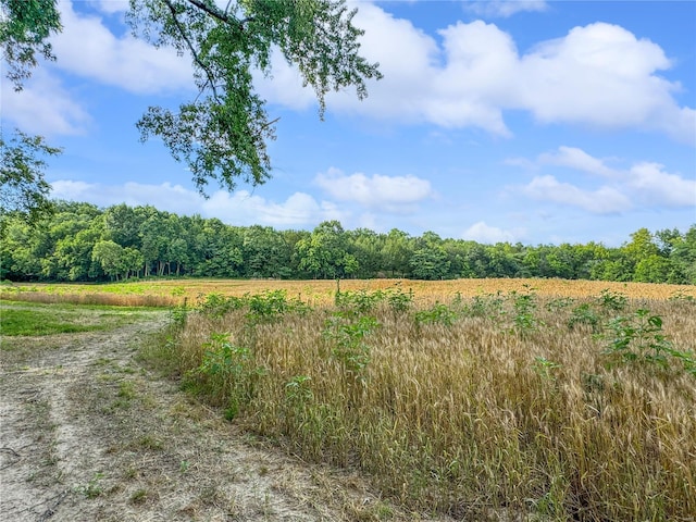 view of local wilderness with a rural view