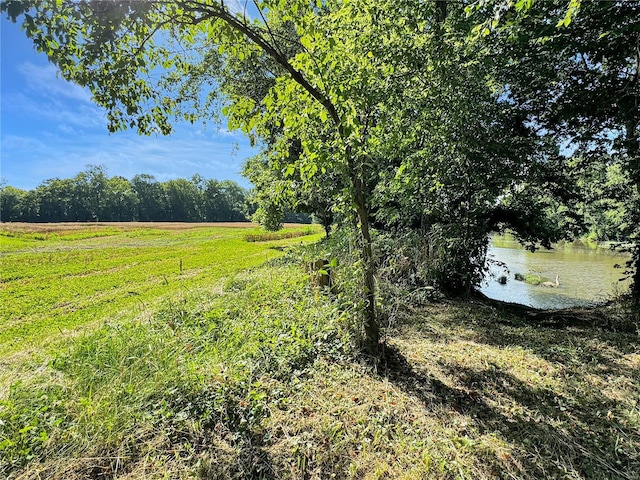 view of yard with a water view