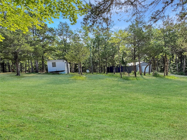 view of yard featuring a storage shed