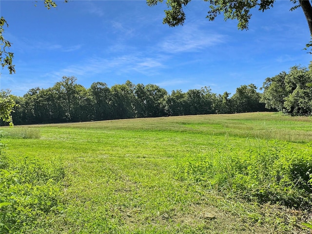 view of yard featuring a rural view