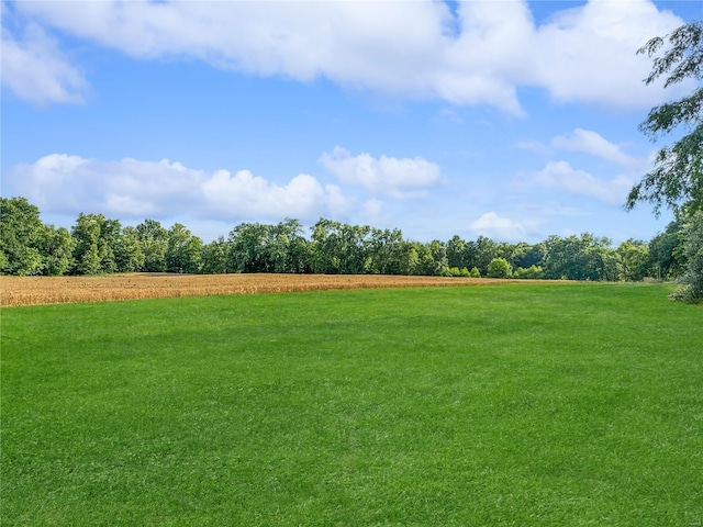 view of yard featuring a rural view