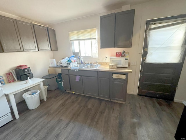 kitchen featuring sink, dark wood-type flooring, and gray cabinetry