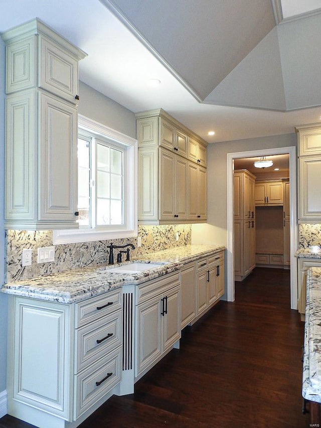 kitchen with tasteful backsplash, sink, light stone counters, and dark hardwood / wood-style flooring