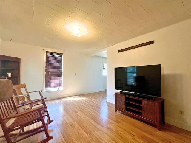 living room featuring wood-type flooring