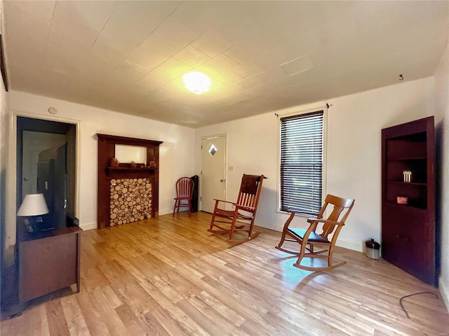 living area featuring light wood-type flooring