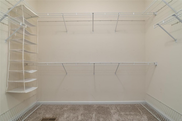 walk in closet featuring carpet