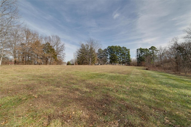 view of yard featuring a rural view