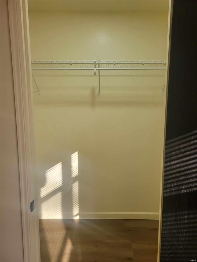 view of closet