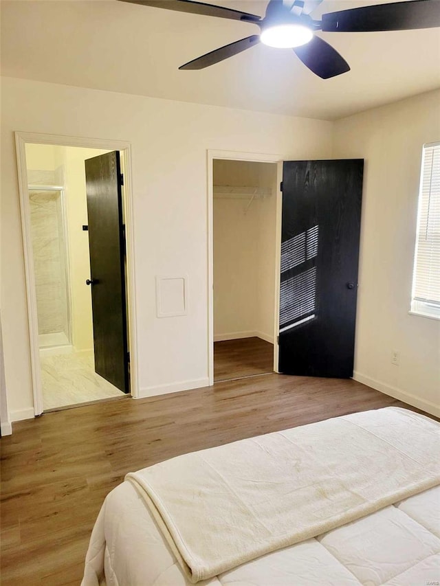 bedroom with hardwood / wood-style flooring, ceiling fan, a closet, and a walk in closet