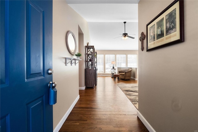 interior space with dark hardwood / wood-style floors