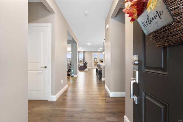 foyer entrance with baseboards and wood finished floors