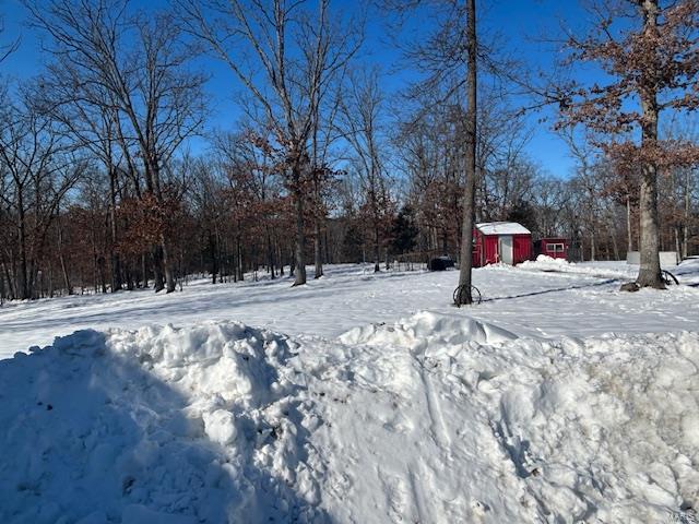 view of yard covered in snow