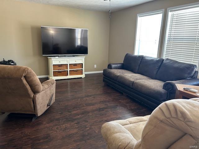 living room featuring dark hardwood / wood-style floors