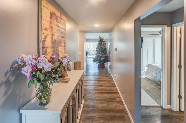 hallway with dark hardwood / wood-style floors