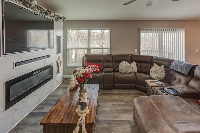 living room featuring dark hardwood / wood-style floors, a healthy amount of sunlight, and ceiling fan