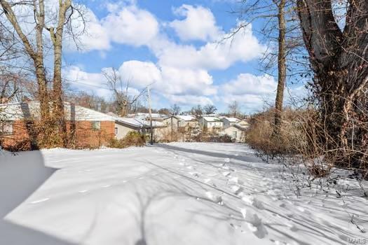 view of yard layered in snow