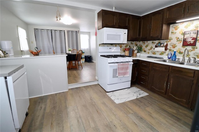 kitchen featuring white appliances, light hardwood / wood-style flooring, a healthy amount of sunlight, hanging light fixtures, and sink