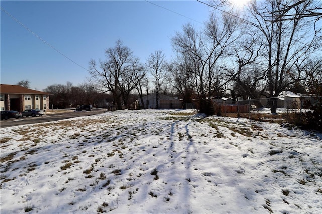 view of yard covered in snow