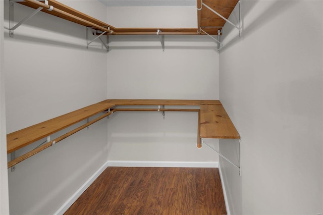 spacious closet with dark wood-type flooring