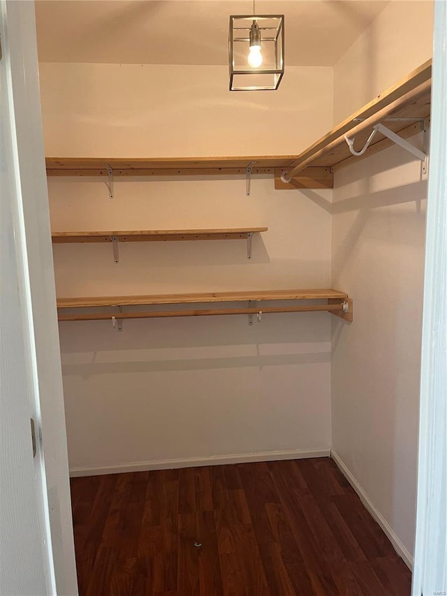 spacious closet featuring dark hardwood / wood-style floors