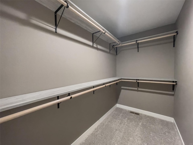 walk in closet featuring carpet flooring