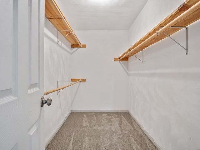 walk in closet with light colored carpet