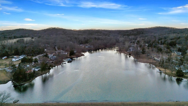 aerial view featuring a water view and a forest view