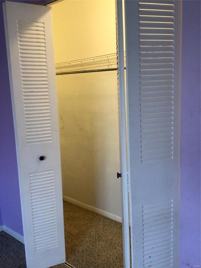 walk in closet with carpet floors