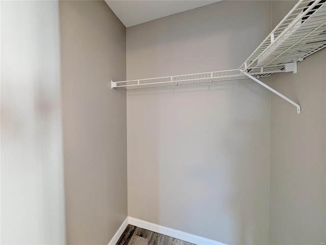 walk in closet with wood-type flooring