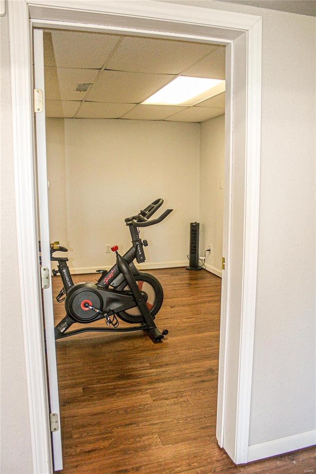 workout room with a paneled ceiling and hardwood / wood-style floors