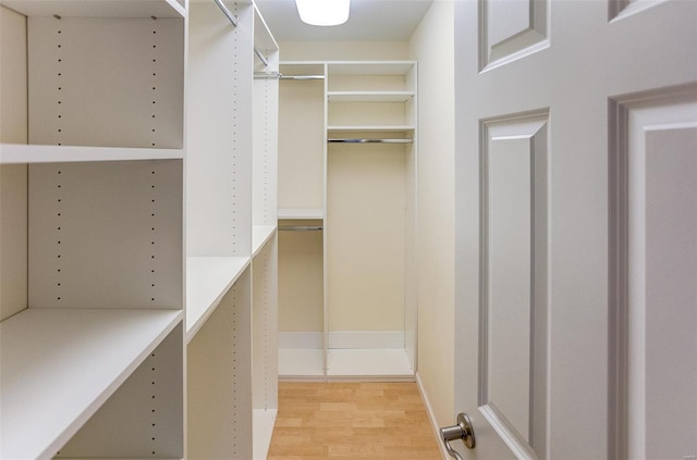 spacious closet with light hardwood / wood-style flooring