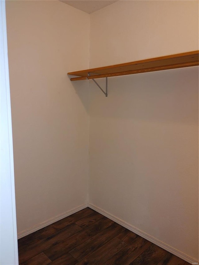 walk in closet with dark hardwood / wood-style floors