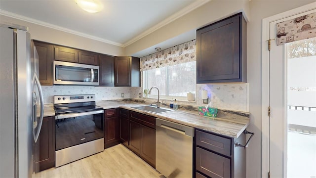 kitchen with stainless steel appliances, decorative backsplash, dark brown cabinets, light hardwood / wood-style flooring, and sink