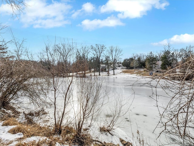 view of yard covered in snow