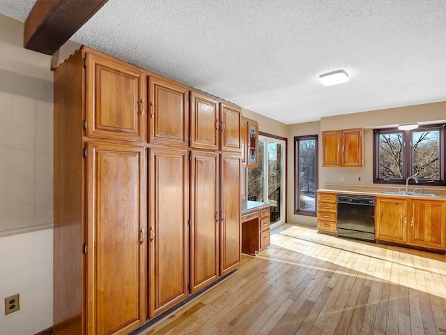 kitchen featuring dishwasher, sink, a textured ceiling, and light wood-type flooring